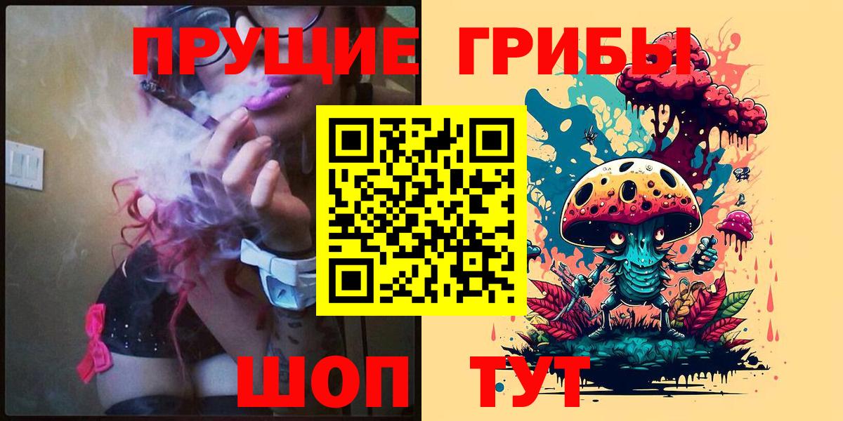 Галлюциногенные грибы Psilocybe Каменка