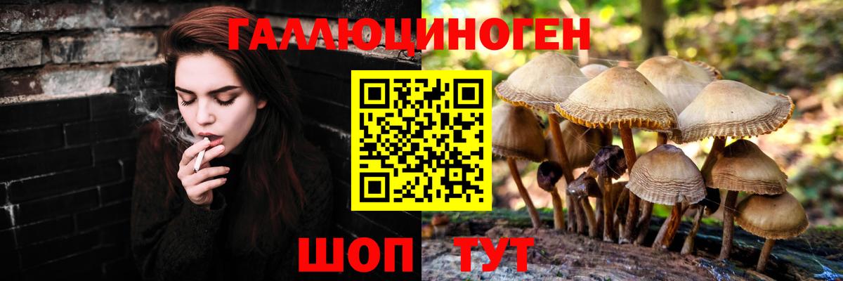 Галлюциногенные грибы Magic Shrooms  Вход с VPN  Каменка 